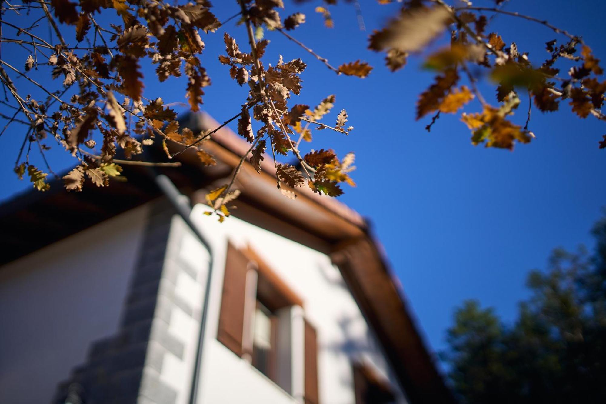 Arpetxea Casa Rural Roncal Ngoại thất bức ảnh