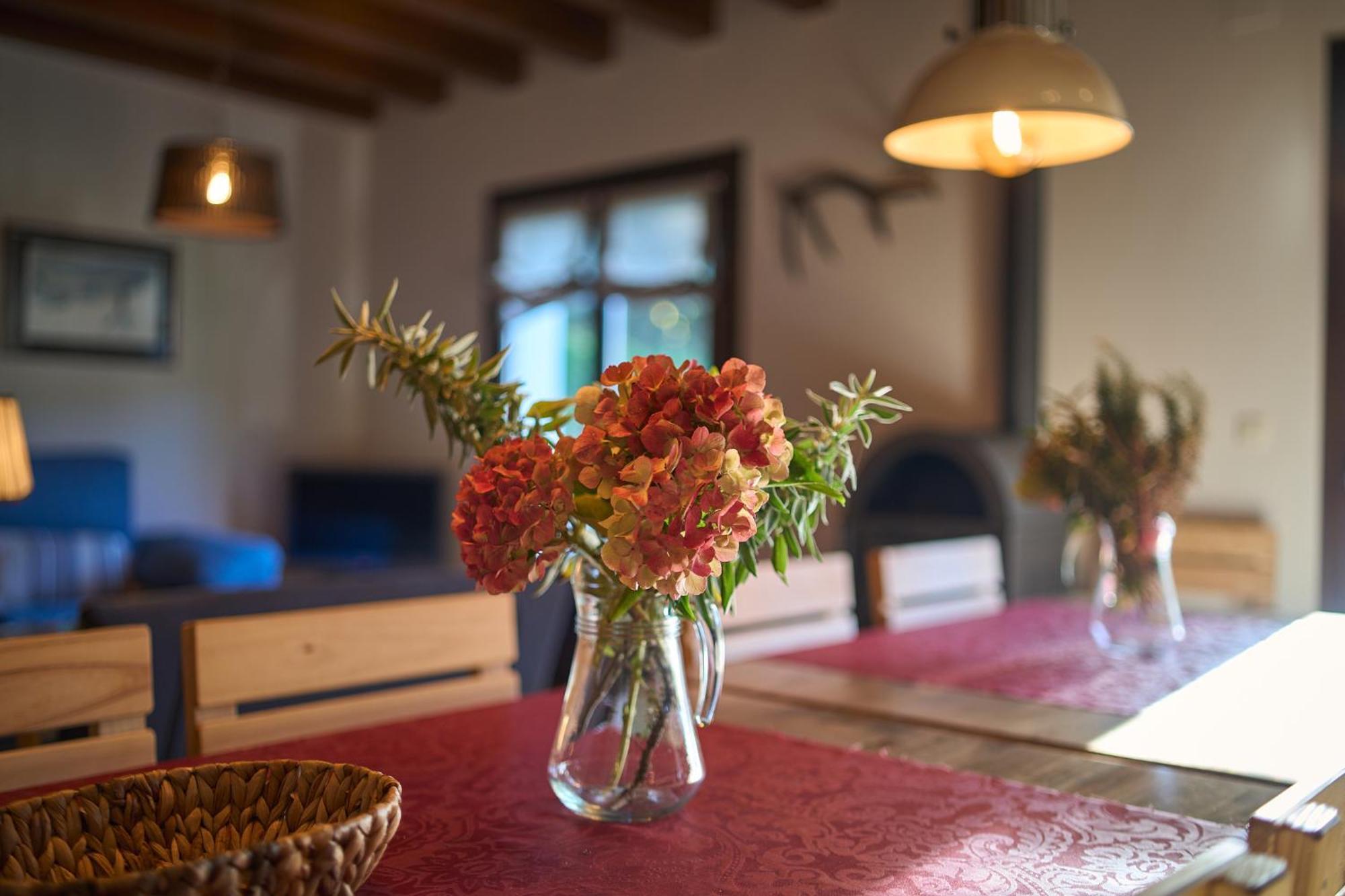 Arpetxea Casa Rural Roncal Ngoại thất bức ảnh